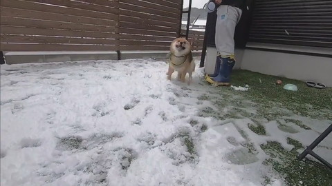 大喜びのおにぎりくん