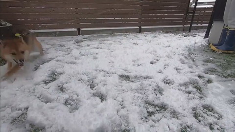 大喜びのおにぎりくん