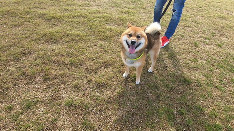 いろんなおにぎりくん