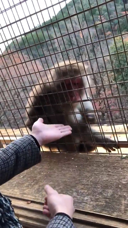 リンゴを消す撮影者さん