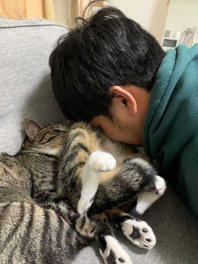 猫 ティッシュ イタズラ 悪事を働いても 責任能力なし 無罪 ねこまるすいさん