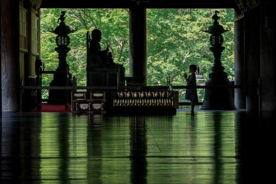 娘 シルエット 成長 春夏秋冬 写真 思い出 5年 奈良 長谷寺