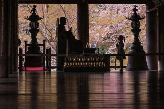 娘 シルエット 成長 春夏秋冬 写真 思い出 5年 奈良 長谷寺