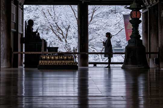 娘 シルエット 成長 春夏秋冬 写真 思い出 5年 奈良 長谷寺