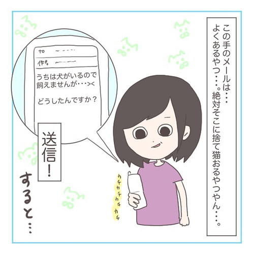 「猫にゃんを保護した話1」