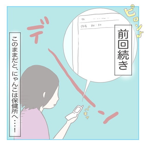 「猫にゃんを保護した話2」