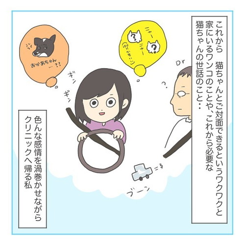 「猫にゃんを保護した話2」