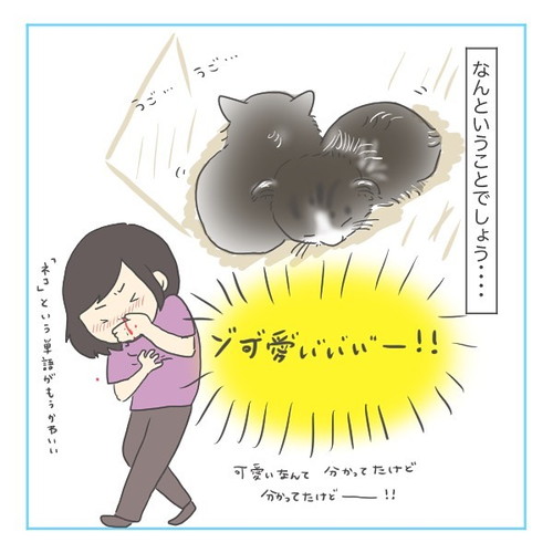 「猫にゃんを保護した話2」