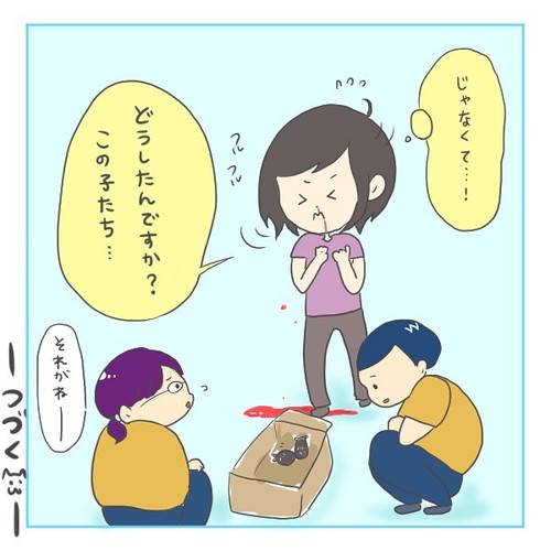 「猫にゃんを保護した話2」