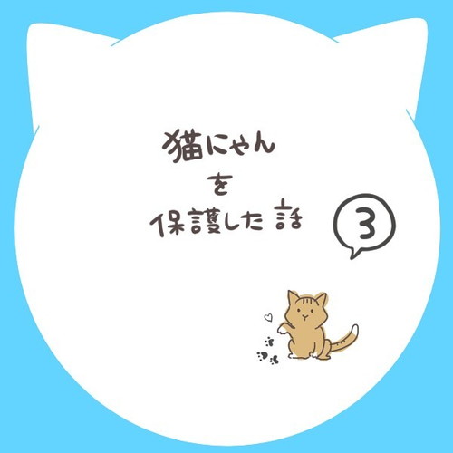 「猫にゃんを保護した話3」