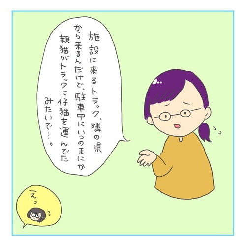 「猫にゃんを保護した話3」