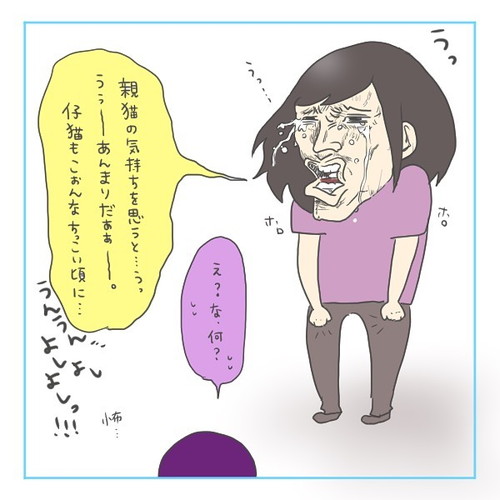 「猫にゃんを保護した話3」