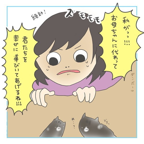 「猫にゃんを保護した話3」