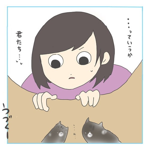 「猫にゃんを保護した話3」