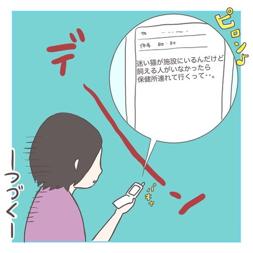 「猫にゃんを保護した話」