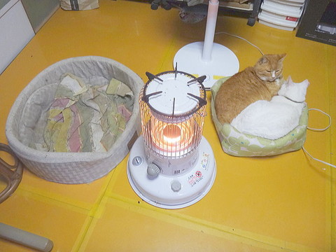 ストーブ教ネコちゃん