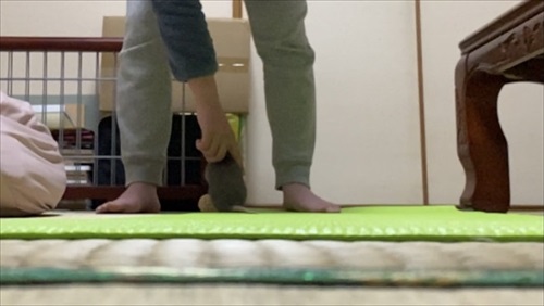 ねずみと人は友だちになれる