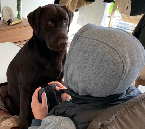  圧かけポテトくんアップ