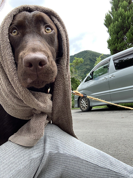 ほっかむりポテトくん