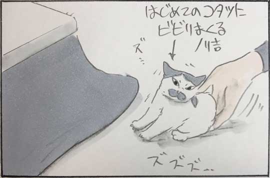 猫 漫画 拾い猫のモチャ はじめてのコタツ お父さん 子猫 あるある