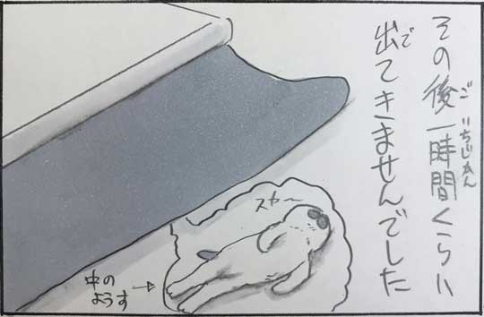 猫 漫画 拾い猫のモチャ はじめてのコタツ お父さん 子猫 あるある