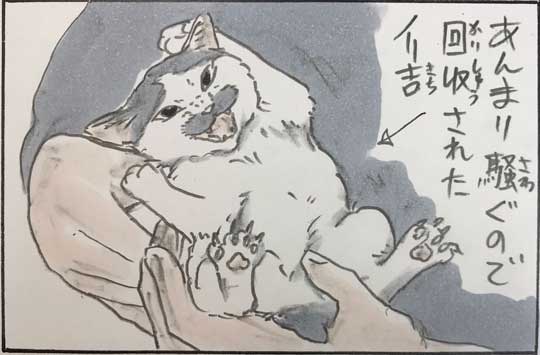 猫 漫画 拾い猫のモチャ はじめてのコタツ お父さん 子猫 あるある