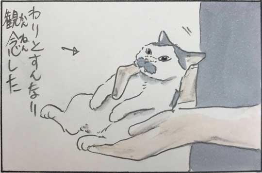 猫 漫画 拾い猫のモチャ はじめてのコタツ お父さん 子猫 あるある