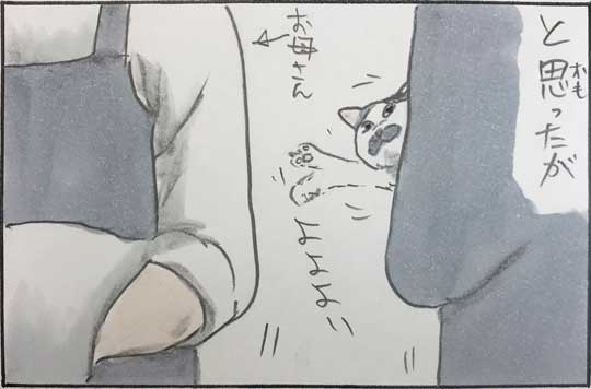 猫 漫画 拾い猫のモチャ はじめてのコタツ お父さん 子猫 あるある