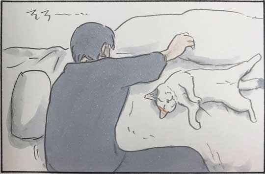猫 漫画 拾い猫のモチャ はじめてのコタツ お父さん 子猫 あるある