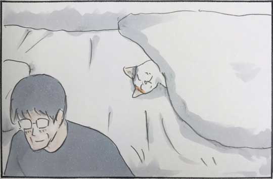 猫 漫画 拾い猫のモチャ はじめてのコタツ お父さん 子猫 あるある