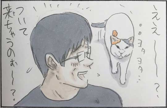猫 漫画 拾い猫のモチャ はじめてのコタツ お父さん 子猫 あるある