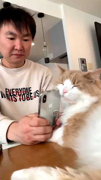 かまいたち 山内 パパ スマホ 猫 スリスリ かわいい