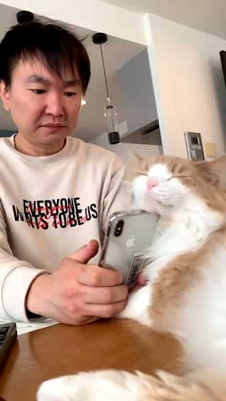 かまいたち 山内 パパ スマホ 猫 スリスリ かわいい