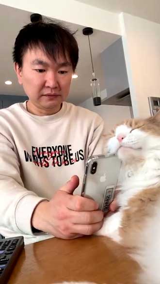 かまいたち 山内 パパ スマホ 猫 スリスリ かわいい