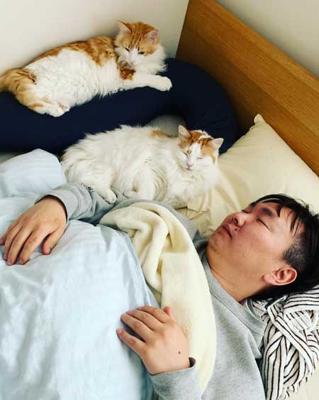 かまいたち 山内 パパ スマホ 猫 スリスリ かわいい