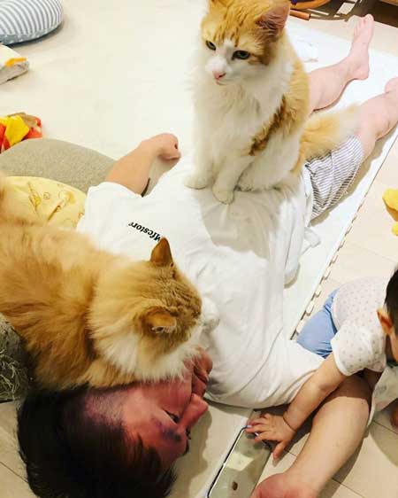 かまいたち 山内 パパ スマホ 猫 スリスリ かわいい