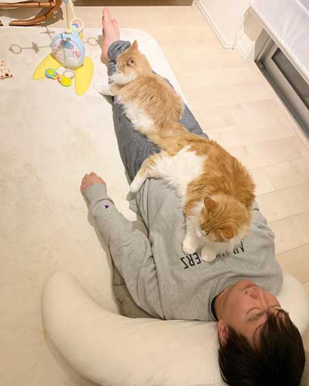 かまいたち 山内 パパ スマホ 猫 スリスリ かわいい