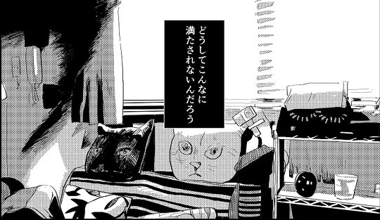 文野紋 香椎かてぃ 対談