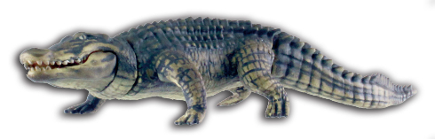 危険生物大百科　恐怖の牙