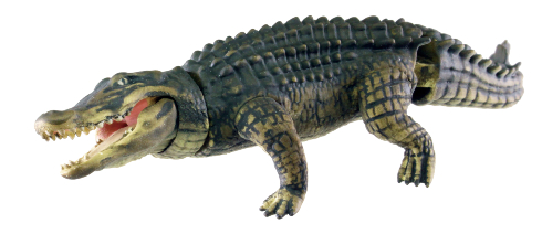 危険生物大百科　恐怖の牙