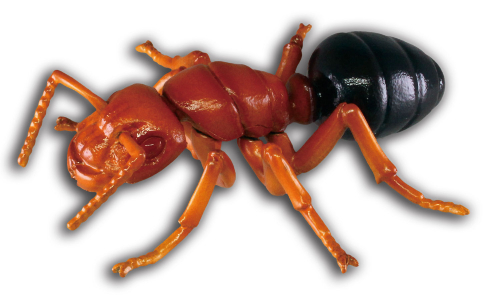 危険生物大百科　恐怖の牙