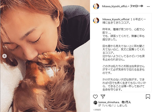 氷川きよし ココア 愛犬 腫瘍