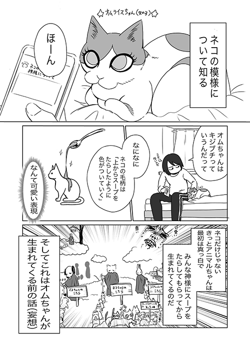 飼い猫の模様に関する考察1