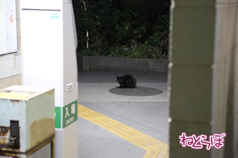昭和 秘境駅 鶴見線