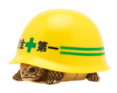 ヘルメット＋カメ