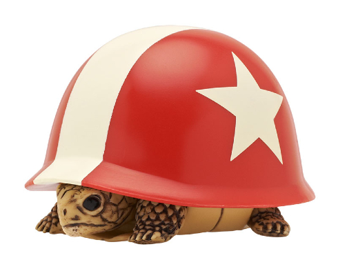 ヘルメット＋カメ