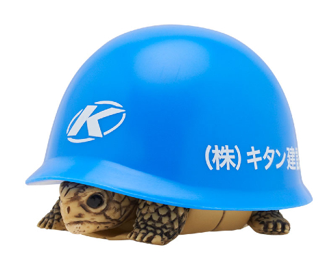 ヘルメット＋カメ