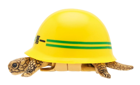 ヘルメット＋カメ