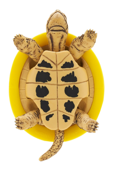 ヘルメット＋カメ