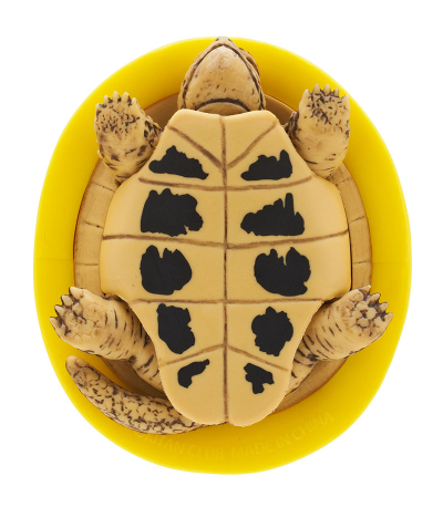 ヘルメット＋カメ